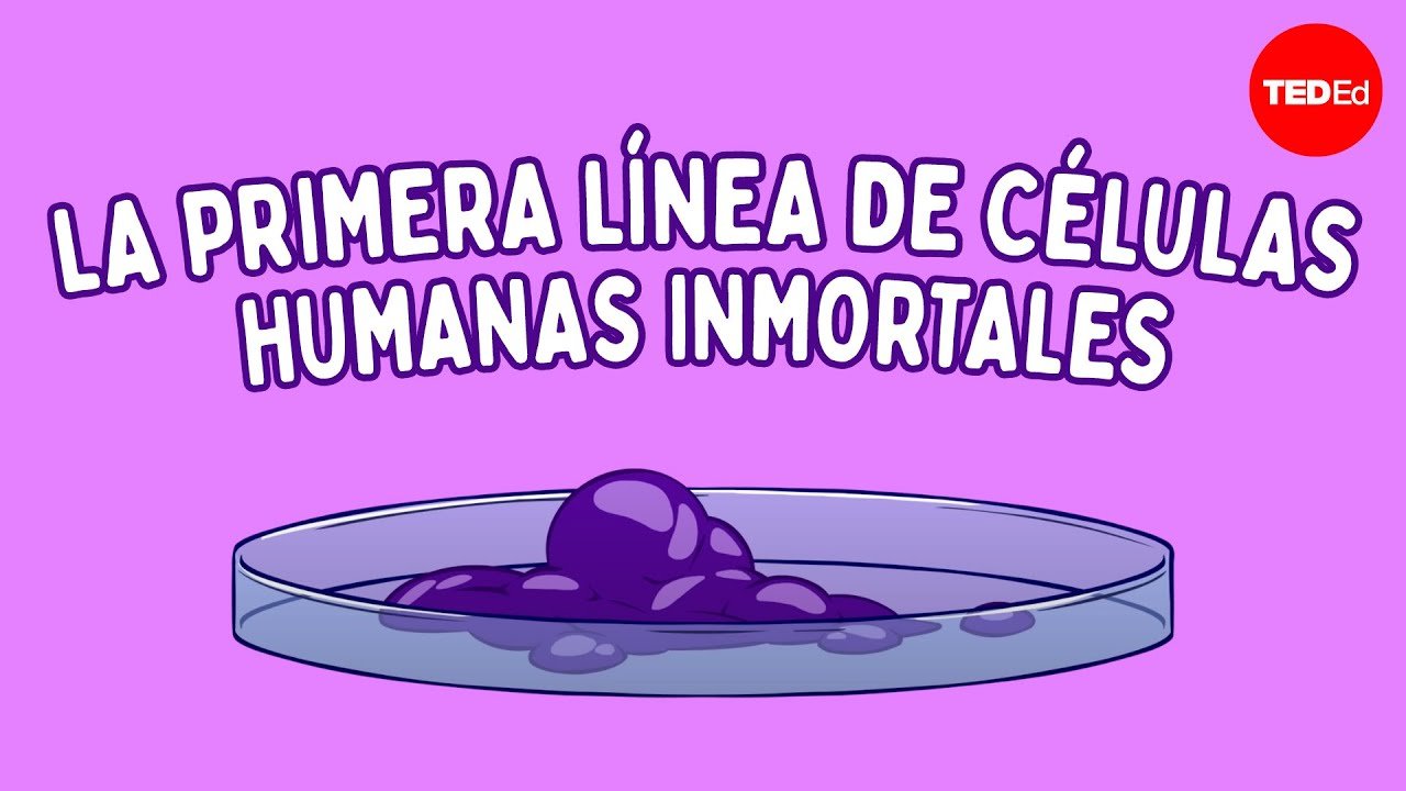 Las células inmortales de Henrietta Lacks - Robin Bulleri