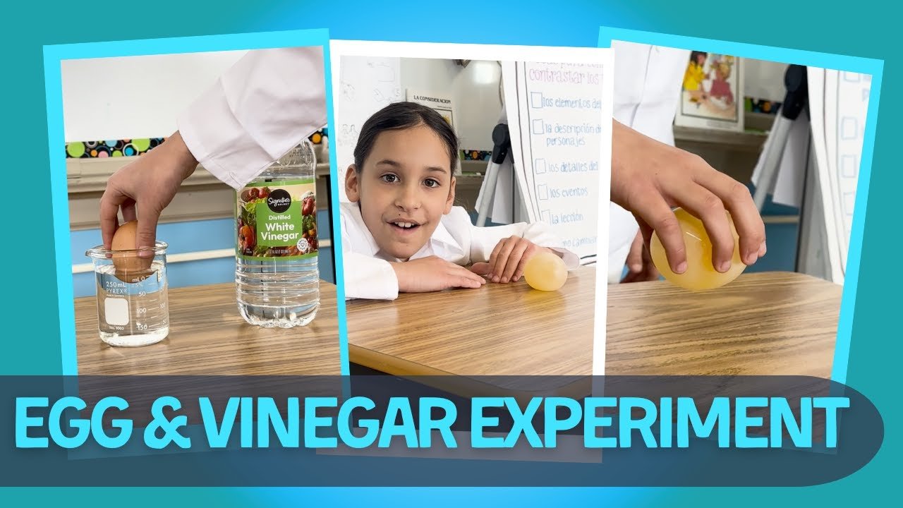 Egg and Vinegar Experiment in the We Are Teachers Science Lab series!